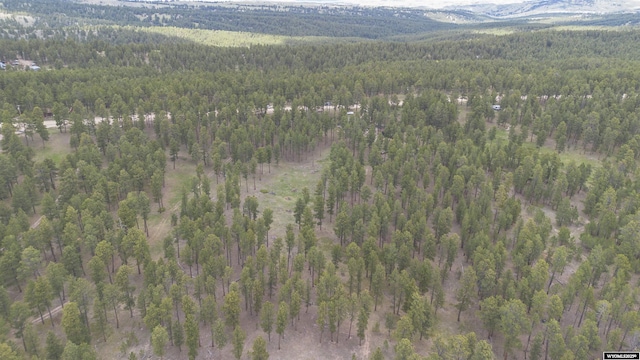 2908 Esterbrook Rd, Esterbrook, WY 82633 - aerial overview of property's location featuring a forest and a mountainous background