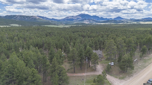 2908 Esterbrook Rd, Esterbrook, WY 82633 - view of mountain backdrop with a forest
