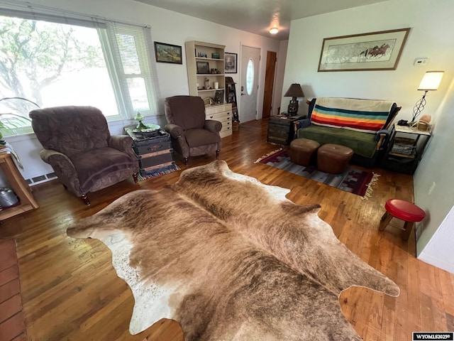 living room featuring wood finished floors and plenty of natural light