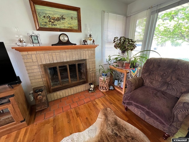 living room featuring a fireplace and wood finished floors
