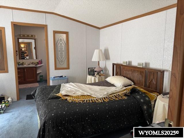 170 Eardley Ave, Fort Bridger, WY 82933 - carpeted bedroom featuring ornamental molding, lofted ceiling, connected bathroom, and a textured ceiling