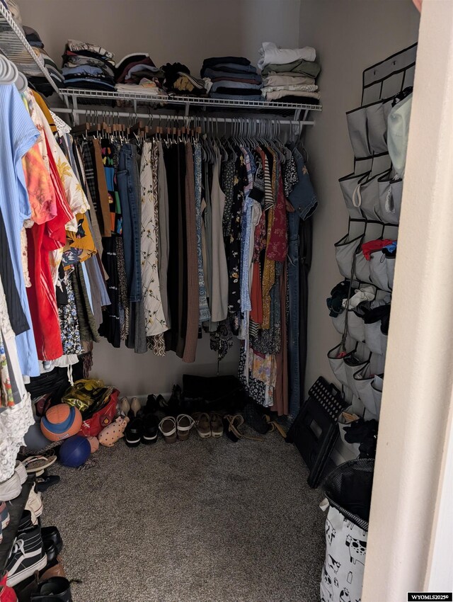 1206 E Park Ave, Riverton, WY 82501 - walk in closet with carpet