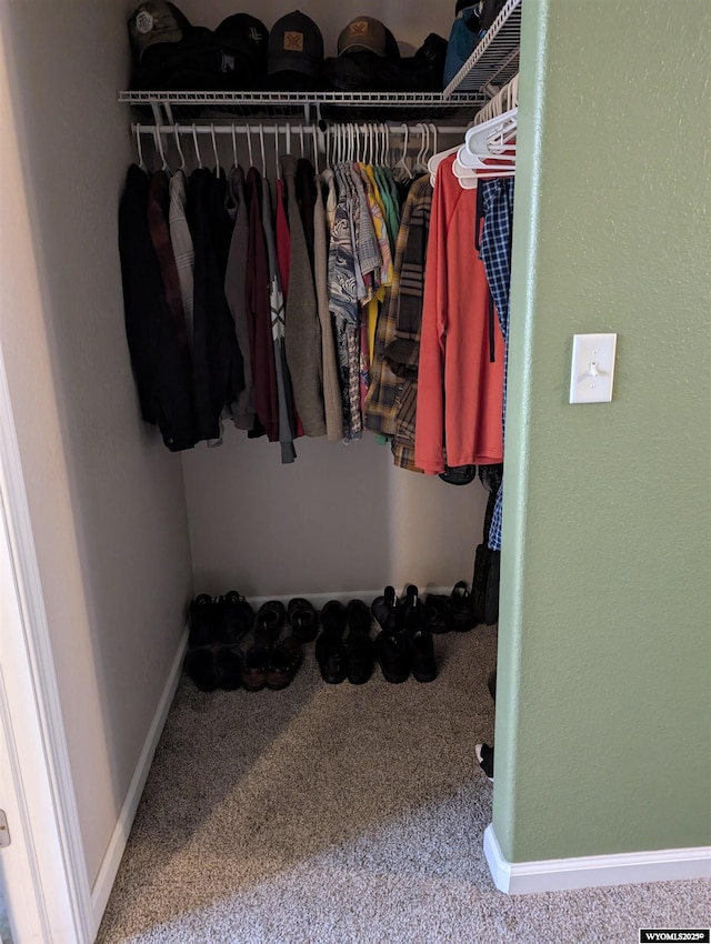 1206 E Park Ave, Riverton, WY 82501 - spacious closet featuring carpet