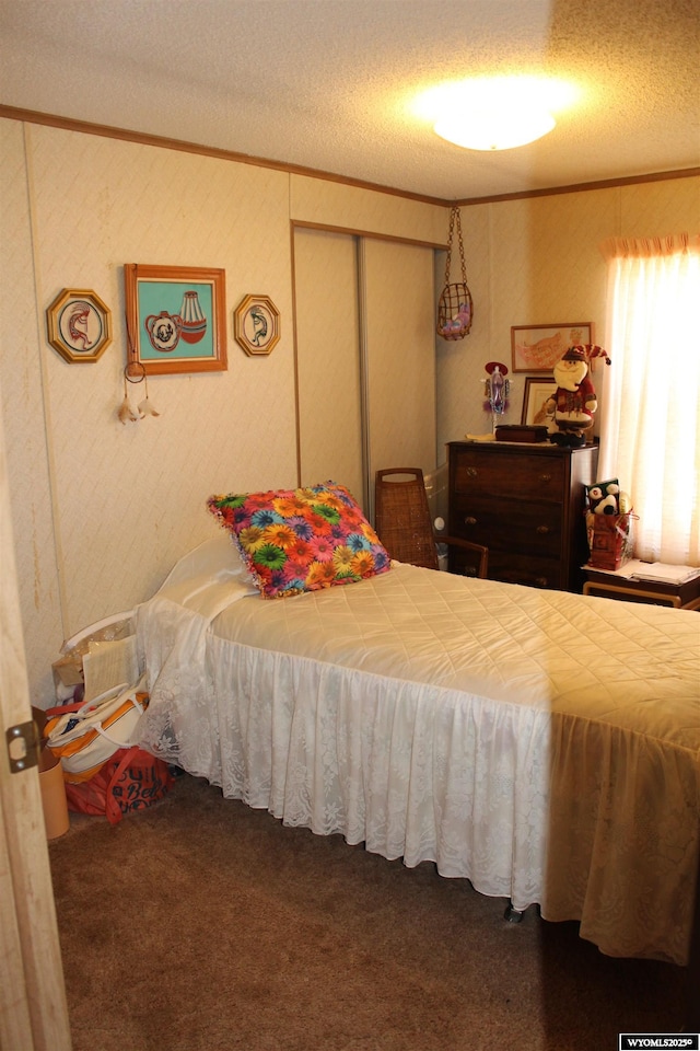 SPACE10 50 S Colorado Ave, Guernsey, WY 82214 - bedroom featuring ornamental molding, carpet, a textured ceiling, and a closet