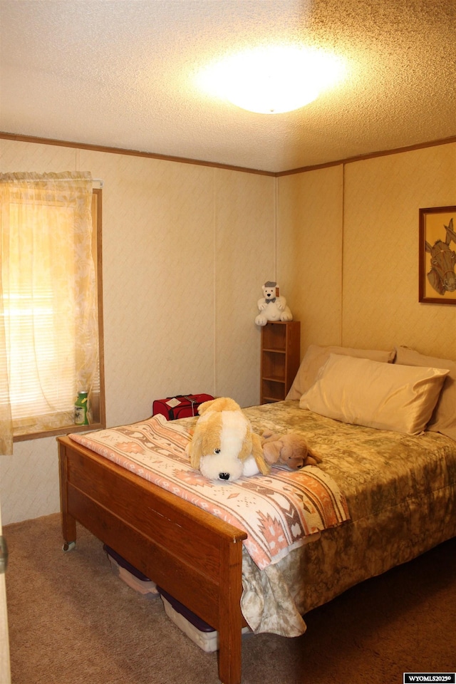 SPACE10 50 S Colorado Ave, Guernsey, WY 82214 - carpeted bedroom with crown molding and a textured ceiling