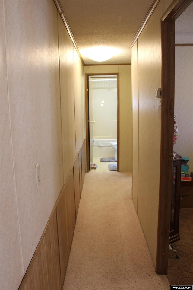 SPACE10 50 S Colorado Ave, Guernsey, WY 82214 - hall with light carpet