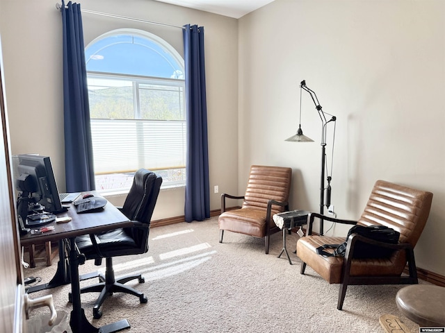 617 Lucille Cir, Evanston, WY 82930 - office featuring light carpet and baseboards