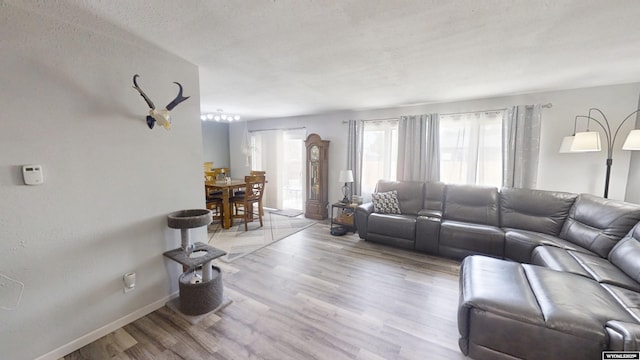 205 Daffodil, Casper, WY 82604 - living room featuring light wood-type flooring and baseboards