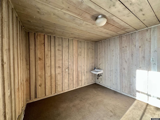 596 Garfield St, Lander, WY 82520 - carpeted spare room with wooden ceiling and a sink