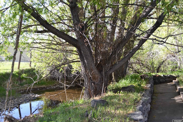 104 First St, Mountain View, WY 82939 - view of undeveloped land