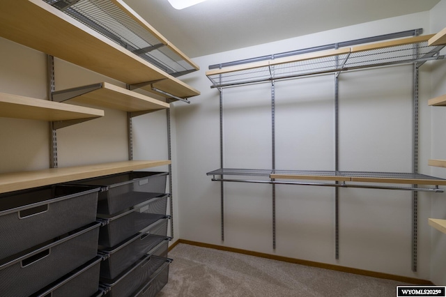 370 Aster, Casper, WY 82604 - spacious closet featuring light colored carpet
