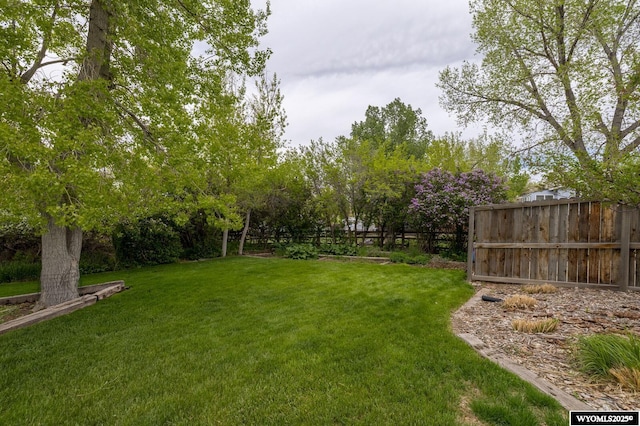370 Aster, Casper, WY 82604 - view of yard
