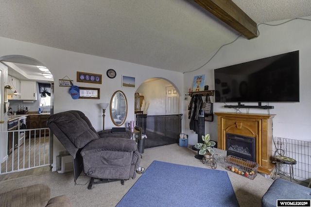363 Oleander St, Casper, WY 82604 - living area with carpet floors, arched walkways, a textured ceiling, and a fireplace