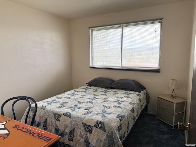 1130 Canyon Rd, Kemmerer, WY 83101 - bedroom featuring carpet