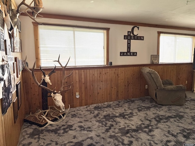 1130 Canyon Rd, Kemmerer, WY 83101 - sitting room with wood walls, wainscoting, and carpet