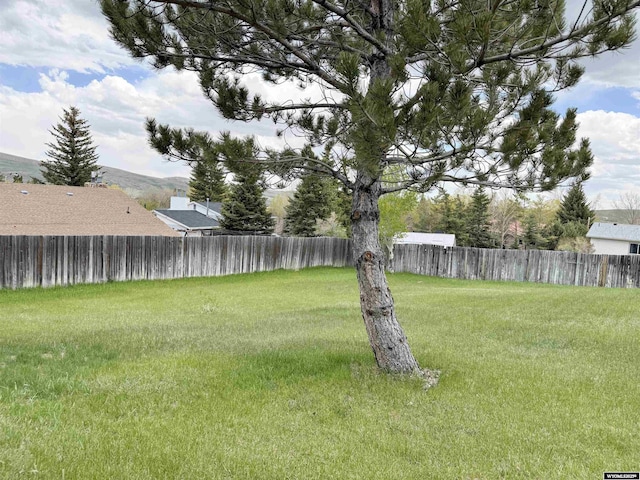 1130 Canyon Rd, Kemmerer, WY 83101 - view of yard