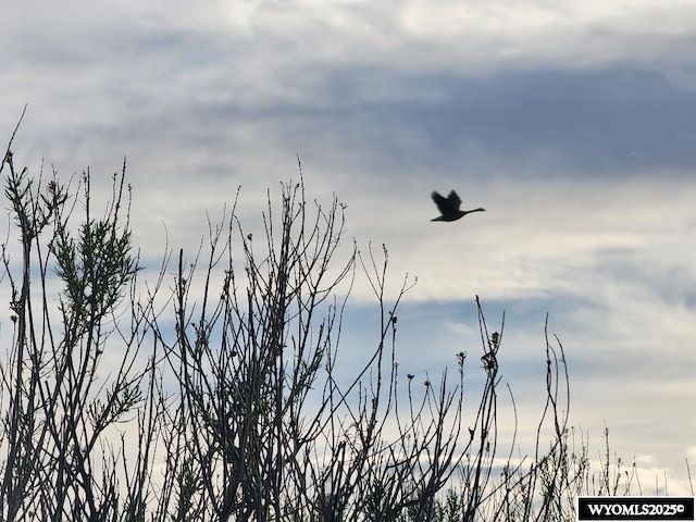 LOT3 Mazet Rd, Riverton, WY 82501