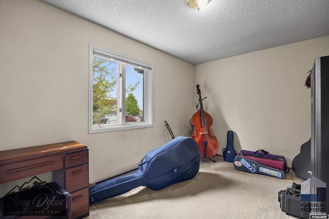 1131 W 60th St, Casper, WY 82601 - workout room with carpet and a textured ceiling