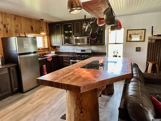 2609 Beaver Creek Rd, Shell, WY 82441 - kitchen featuring appliances with stainless steel finishes, wood ceiling, light wood-style floors, glass insert cabinets, and wooden walls