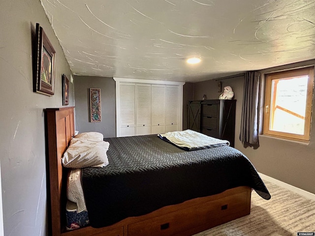 2609 Beaver Creek Rd, Shell, WY 82441 - bedroom with baseboards, carpet floors, and a closet