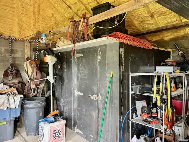 2609 Beaver Creek Rd, Shell, WY 82441 - view of storage room