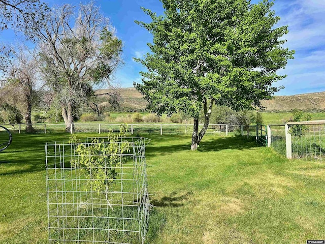 2609 Beaver Creek Rd, Shell, WY 82441 - view of yard
