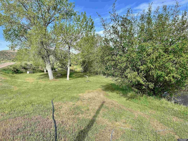 2609 Beaver Creek Rd, Shell, WY 82441 - view of green lawn