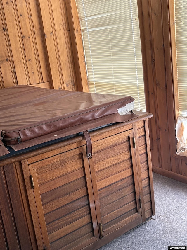 221 Rimrock Dr, Evanston, WY 82930 - detailed view of carpet and wooden walls