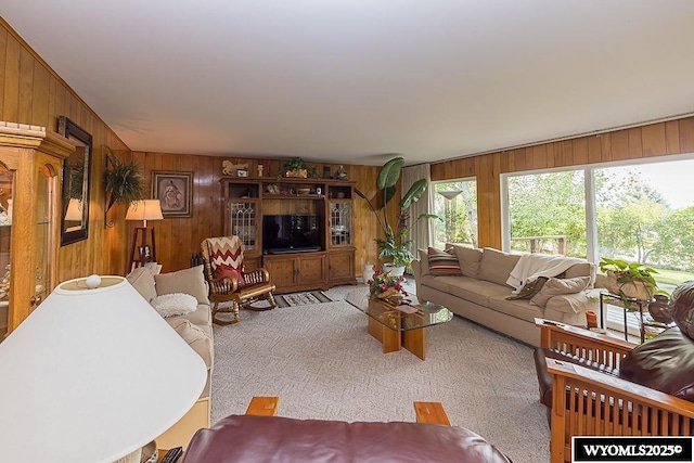 1823 Walnut St, Rock Springs, WY 82901 - carpeted living area with wooden walls