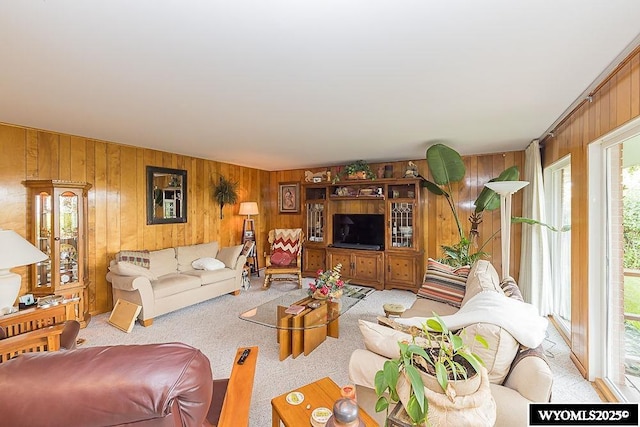 1823 Walnut St, Rock Springs, WY 82901 - living area featuring wooden walls, light colored carpet, and plenty of natural light
