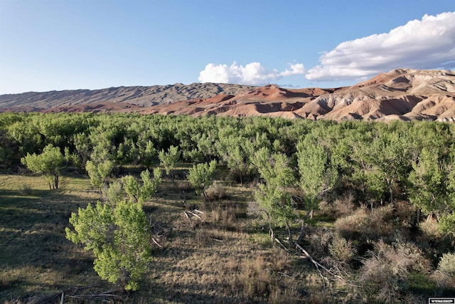 TBD Lane 33, Greybull, WY 82426