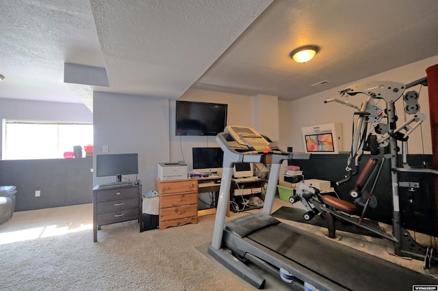 925 Skyline Dr, Douglas, WY 82633 - workout area featuring a textured ceiling and carpet