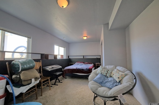925 Skyline Dr, Douglas, WY 82633 - view of carpeted bedroom