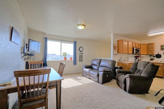 925 Skyline Dr, Douglas, WY 82633 - living area with light carpet and a textured ceiling