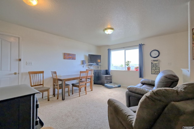 925 Skyline Dr, Douglas, WY 82633 - carpeted living area with a textured ceiling and baseboards