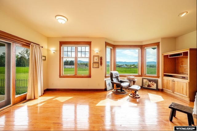 22 Pleasant Valley Ln, Sheridan, WY 82801 - living area featuring light wood-style flooring and baseboards