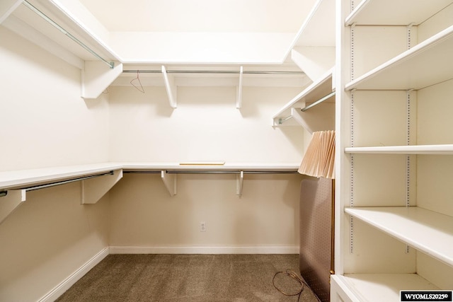 22 Pleasant Valley Ln, Sheridan, WY 82801 - spacious closet with carpet