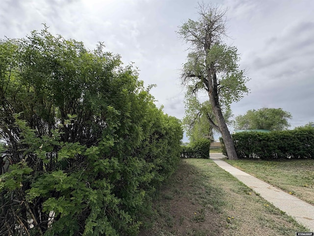 420 S 6th St, Riverton, WY 82501 - view of yard