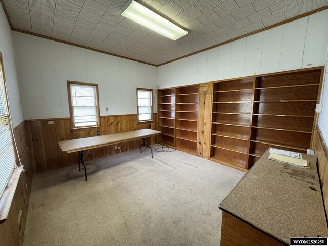 402 S 7th St E, Riverton, WY 82501 - unfurnished office featuring crown molding, wood walls, wainscoting, and carpet