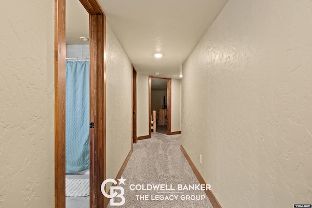 972 Cornwall St, Casper, WY 82609 - corridor featuring a textured wall, radiator heating unit, baseboards, and light colored carpet