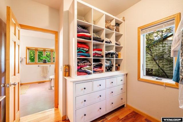 43 Fish Hatchery Rd, Story, WY 82842 - spacious closet with light wood finished floors