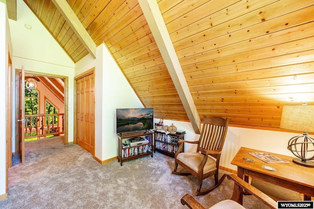 43 Fish Hatchery Rd, Story, WY 82842 - sitting room featuring wooden ceiling, carpet floors, and baseboards