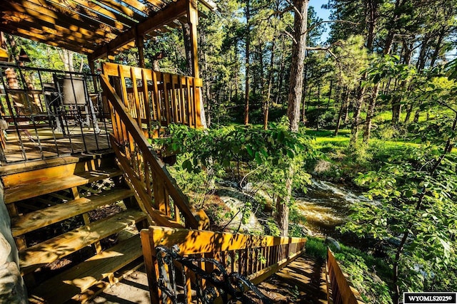 43 Fish Hatchery Rd, Story, WY 82842 - view of deck