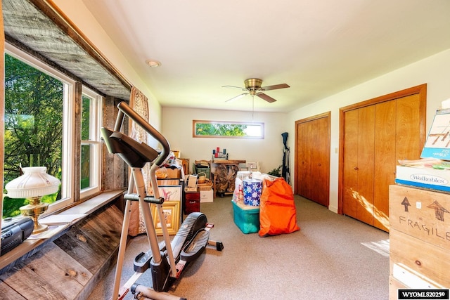 43 Fish Hatchery Rd, Story, WY 82842 - exercise room featuring carpet flooring and a ceiling fan