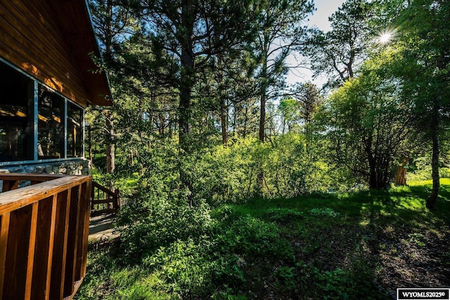 43 Fish Hatchery Rd, Story, WY 82842 - view of yard featuring a sunroom