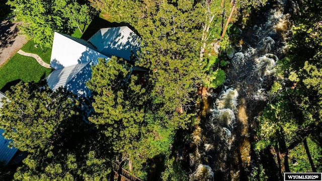 43 Fish Hatchery Rd, Story, WY 82842 - view from above of property