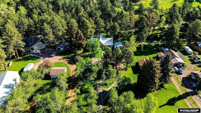 43 Fish Hatchery Rd, Story, WY 82842 - aerial perspective of suburban area
