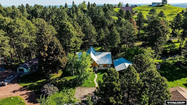 43 Fish Hatchery Rd, Story, WY 82842 - aerial view of property and surrounding area