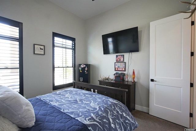 3685 Timber Wolf Ct, Casper, WY 82604 - bedroom featuring carpet and baseboards