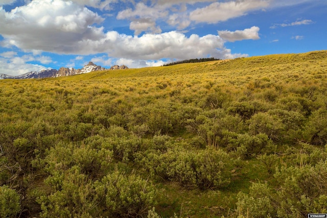 TBD Ramshorn Ranch Rd, Dubois, WY 82513